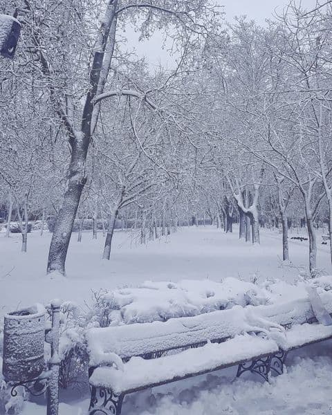 Одессу засыпало снегом. Фото: instagram.com/anisovajav