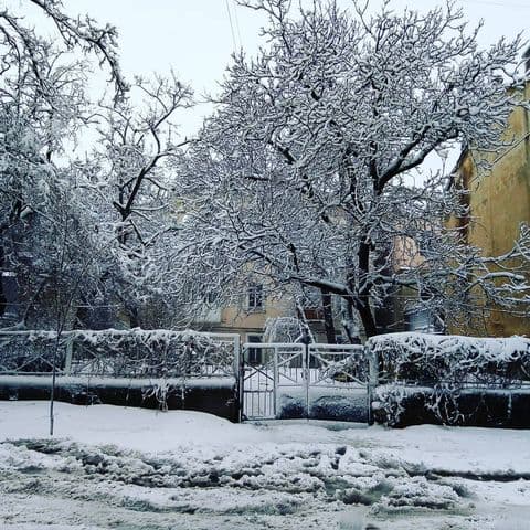 Одессу засыпало снегом. Фото: instagram.com/drunk_muse